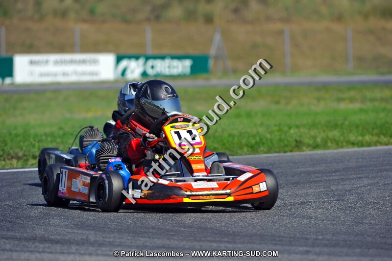 DSC_ (1242).jpg